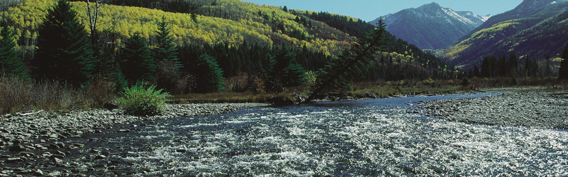 Where others see a river, we see a bridge