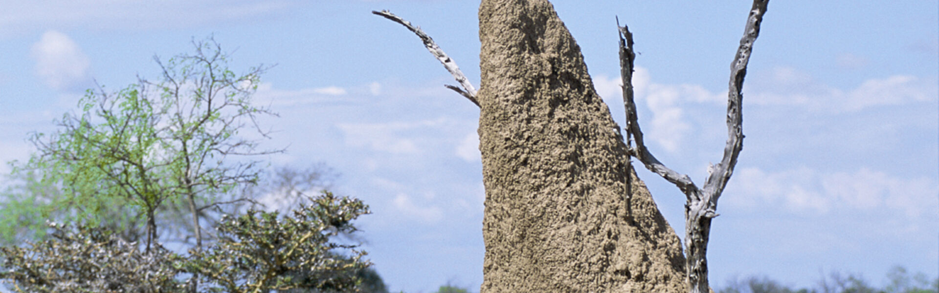 Für große Bauvorhaben braucht man Spezialisten