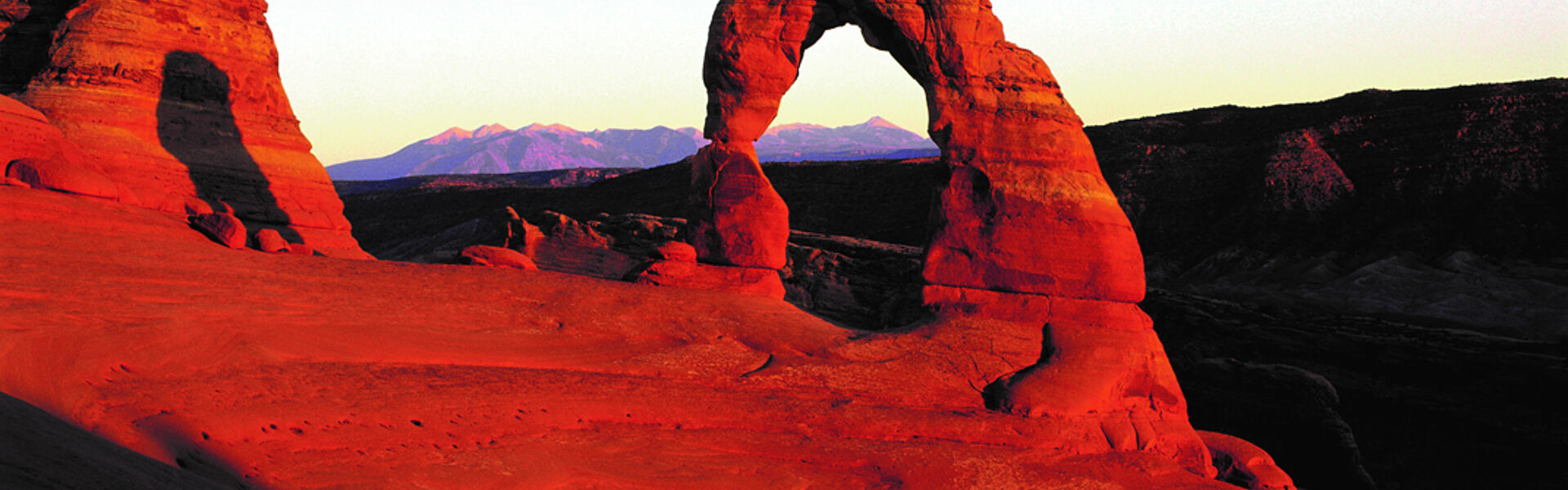 Die Natur hat die verblüffendsten, aber auch kompliziertesten Baupläne