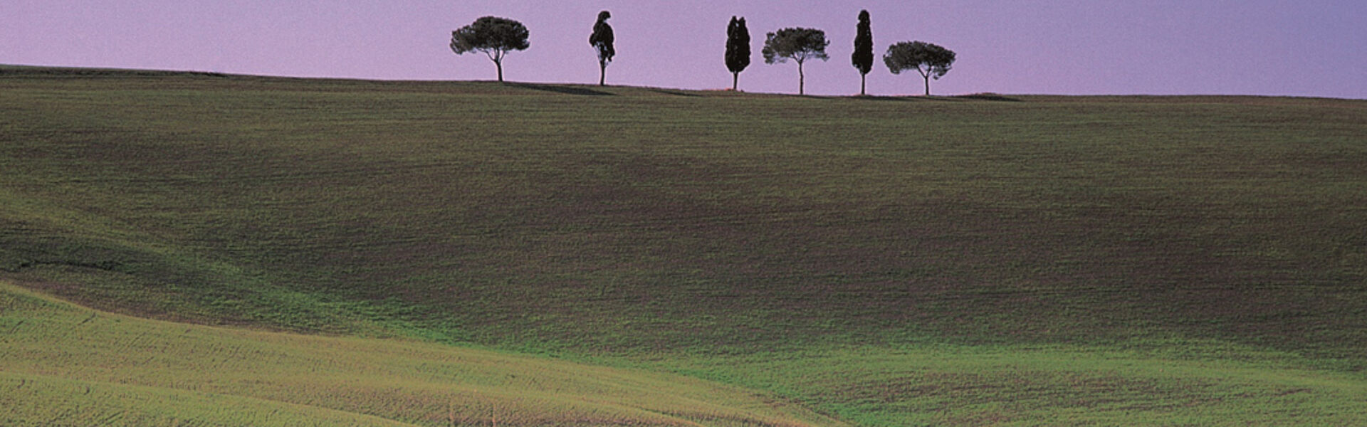 Do you also see the 1.20 m thick pipeline?